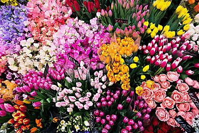 日本一新作《魔界战记7》公布 将于2023年1月26日发售